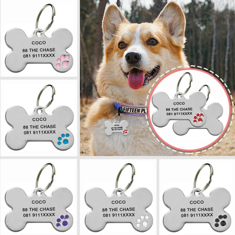 The Collarly Custom Name Tag — Engraved For Your Pet