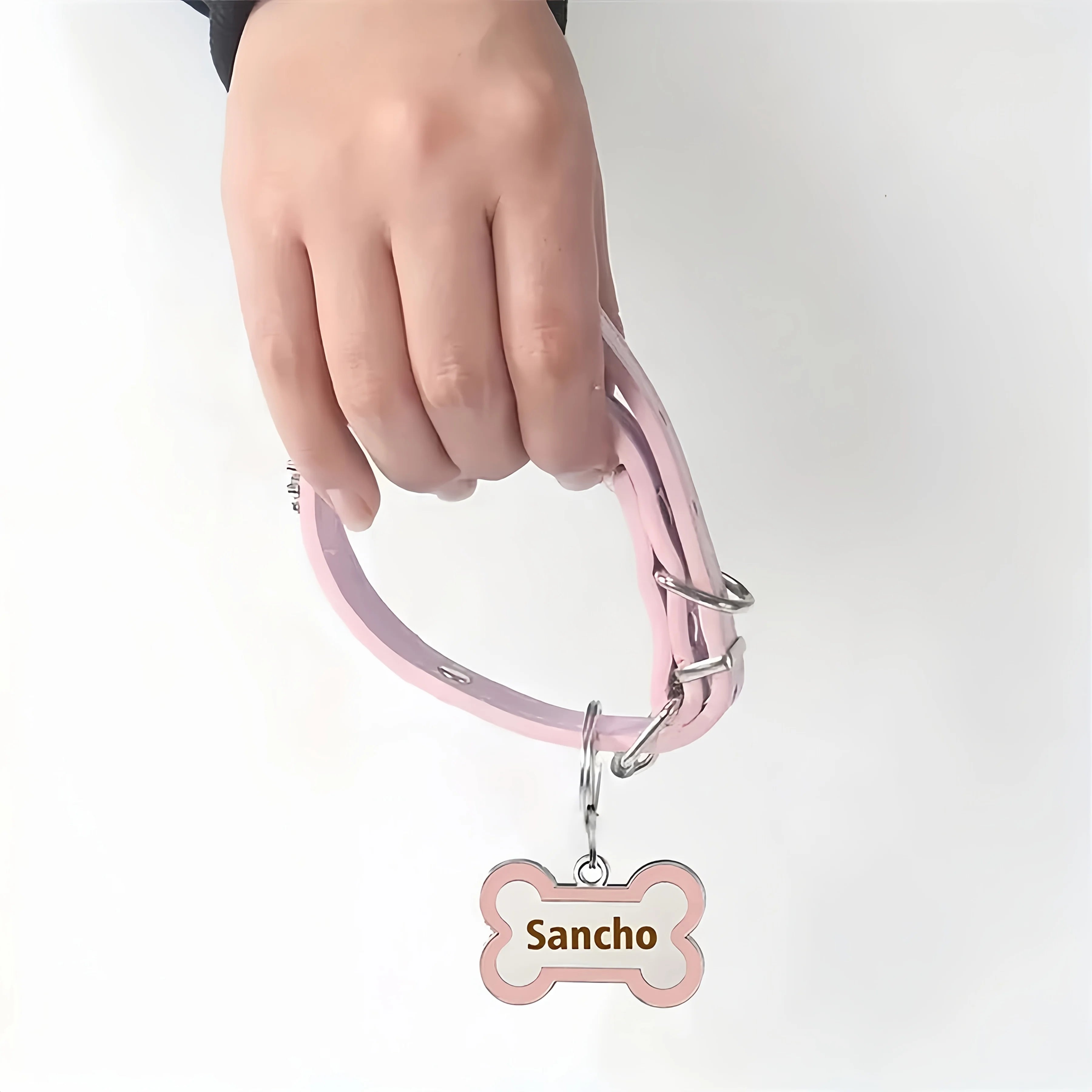 The Collarly Collar & Tag Set — Engraved Leather Collar