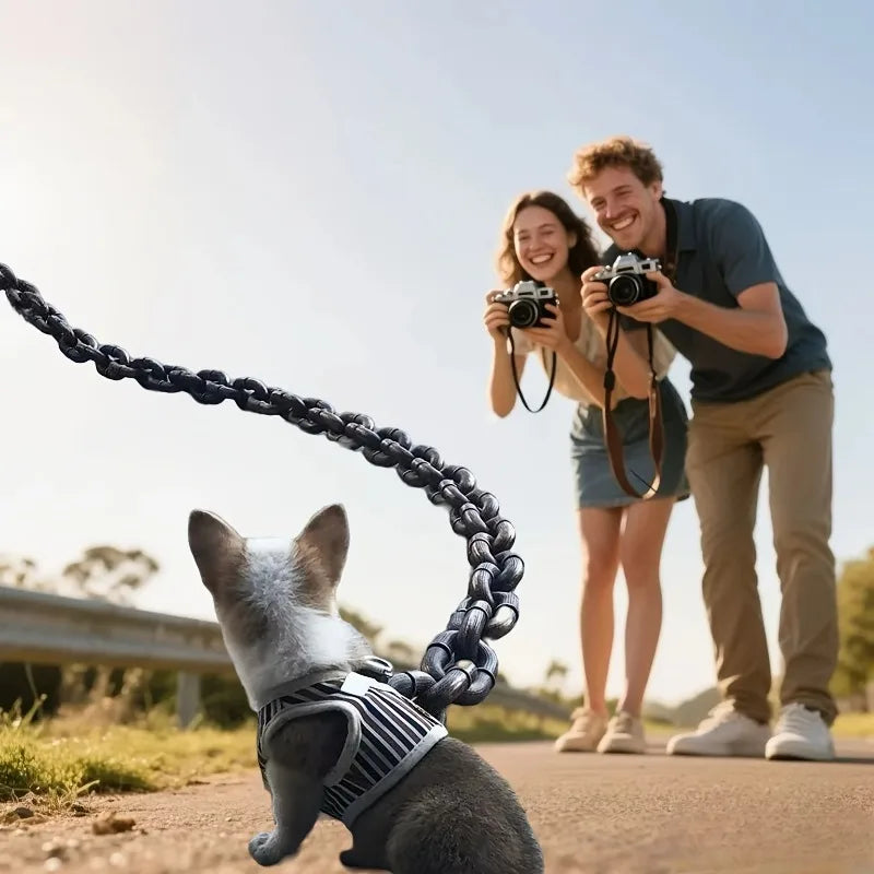 The Collarly Chain Leash — Lightweight Faux-Iron Dog Leash