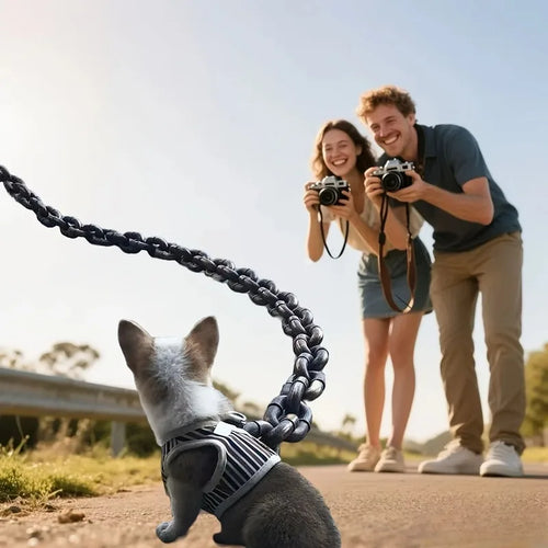 The Collarly Chain Leash — Lightweight Faux-Iron Dog Leash